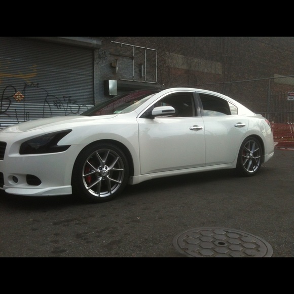 Meet your Posher, Jasmine - Picture 1 of 1